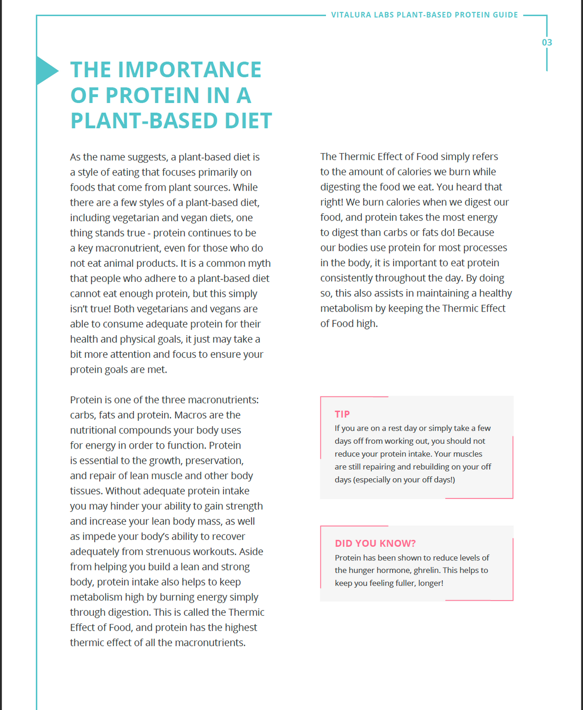 Vitalura Labs PlantBased Protein Guide + Recipes Vitalura Labs