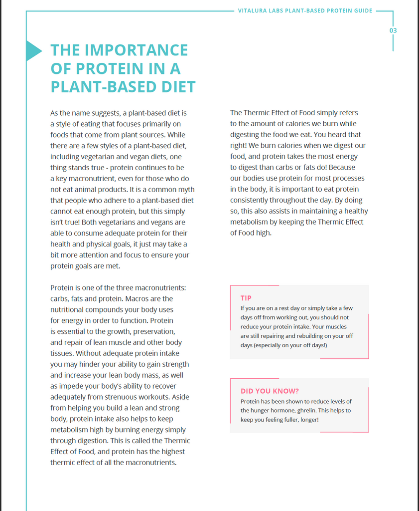 Vitalura Labs Plant-Based Protein Guide + Recipes