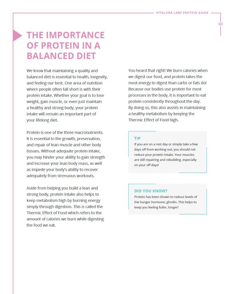 Vitalura Labs Whey Protein Guide + Recipes